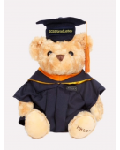 Graduation Bear (Master's Degree)